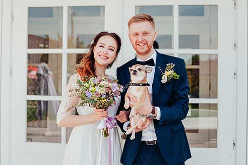Pets & Weddings – Hiring a Pet Chaperone